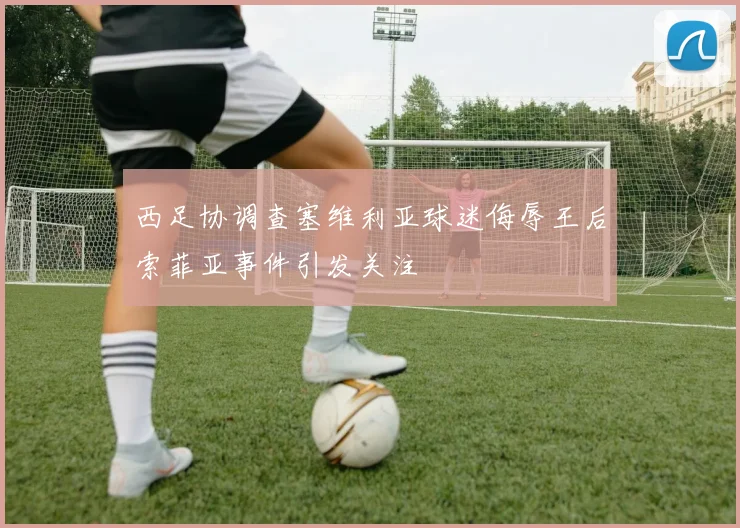 西足协调查塞维利亚球迷侮辱王后索菲亚事件引发关注