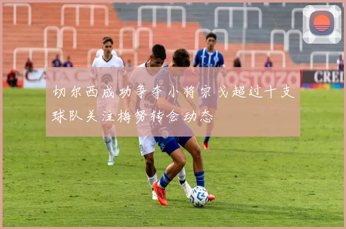 切尔西成功争夺小将宗戈超过十支球队关注梅努转会动态
